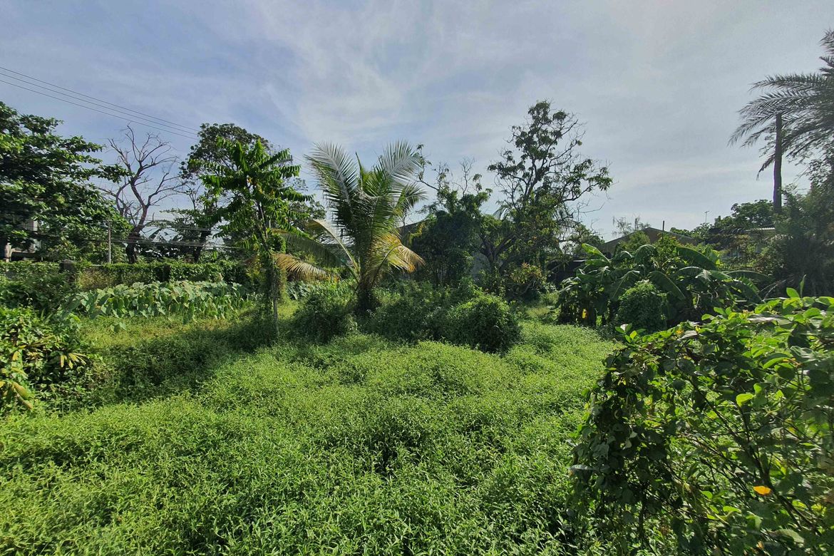 Land for Sale in San Antonio I, Noveleta, Cavite