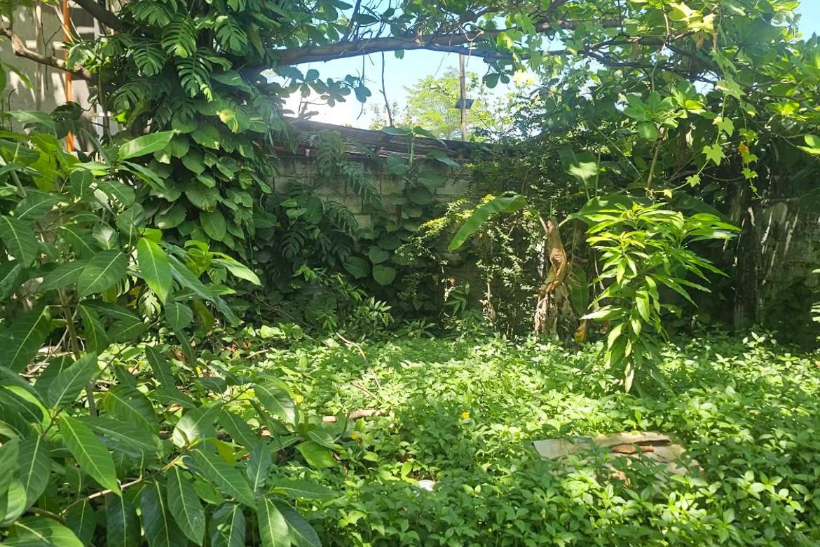 Land for Sale in San Antonio, Iloilo City, Iloilo – photo 3