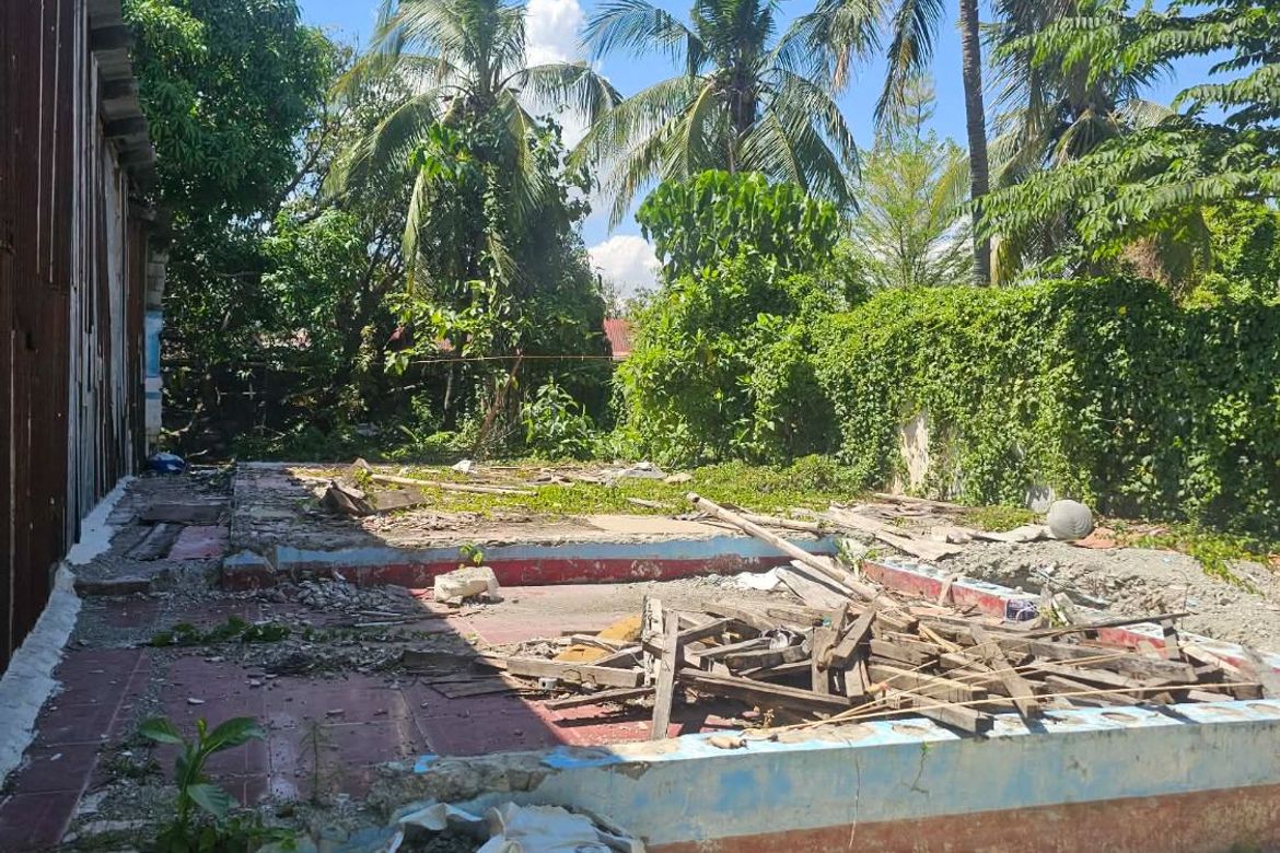 Land for Sale in San Antonio, Iloilo City, Iloilo – photo 5
