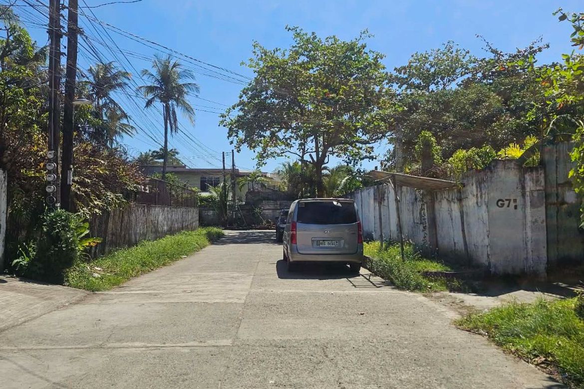 Land for Sale in San Antonio, Iloilo City, Iloilo – photo 7