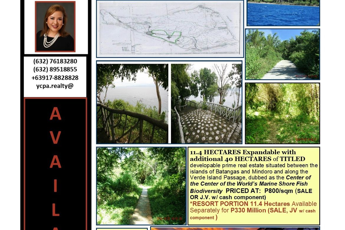 Land for Sale in San Antonio, Isla Verde, Batangas City, Batangas