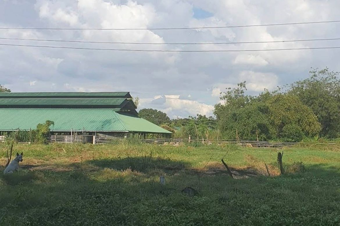 Land for Sale in San Antonio, Lubao, Pampanga – photo 2