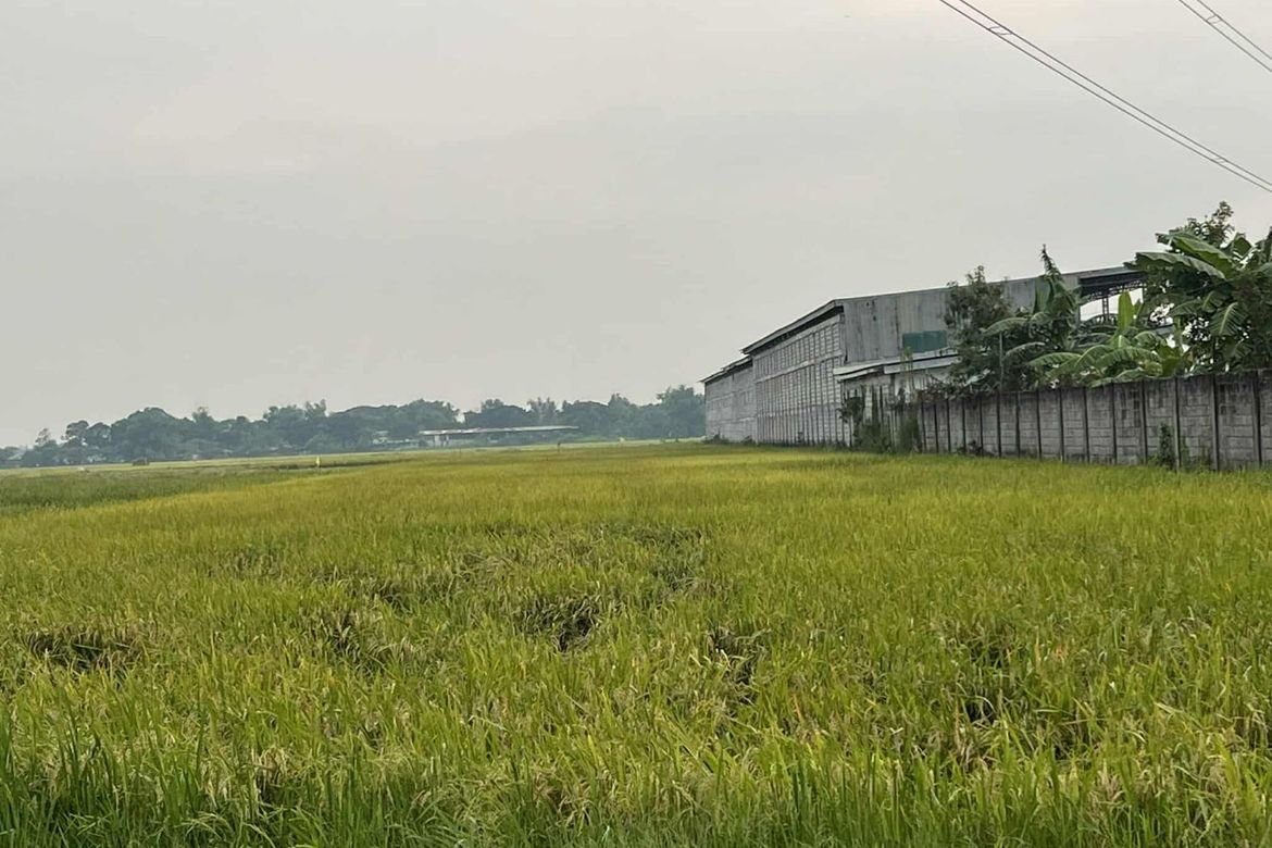 Land for Sale in San Antonio, Lubao, Pampanga – photo 2