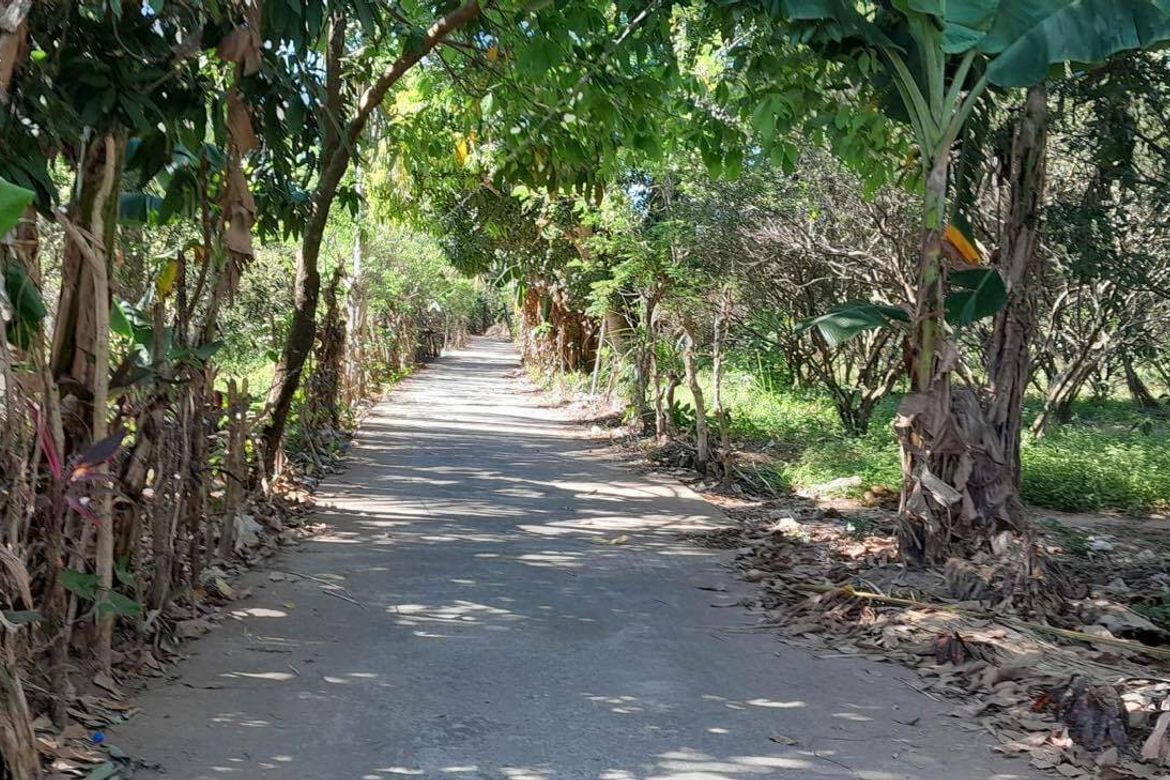 Land for Sale in San Antonio, Mabitac, Laguna