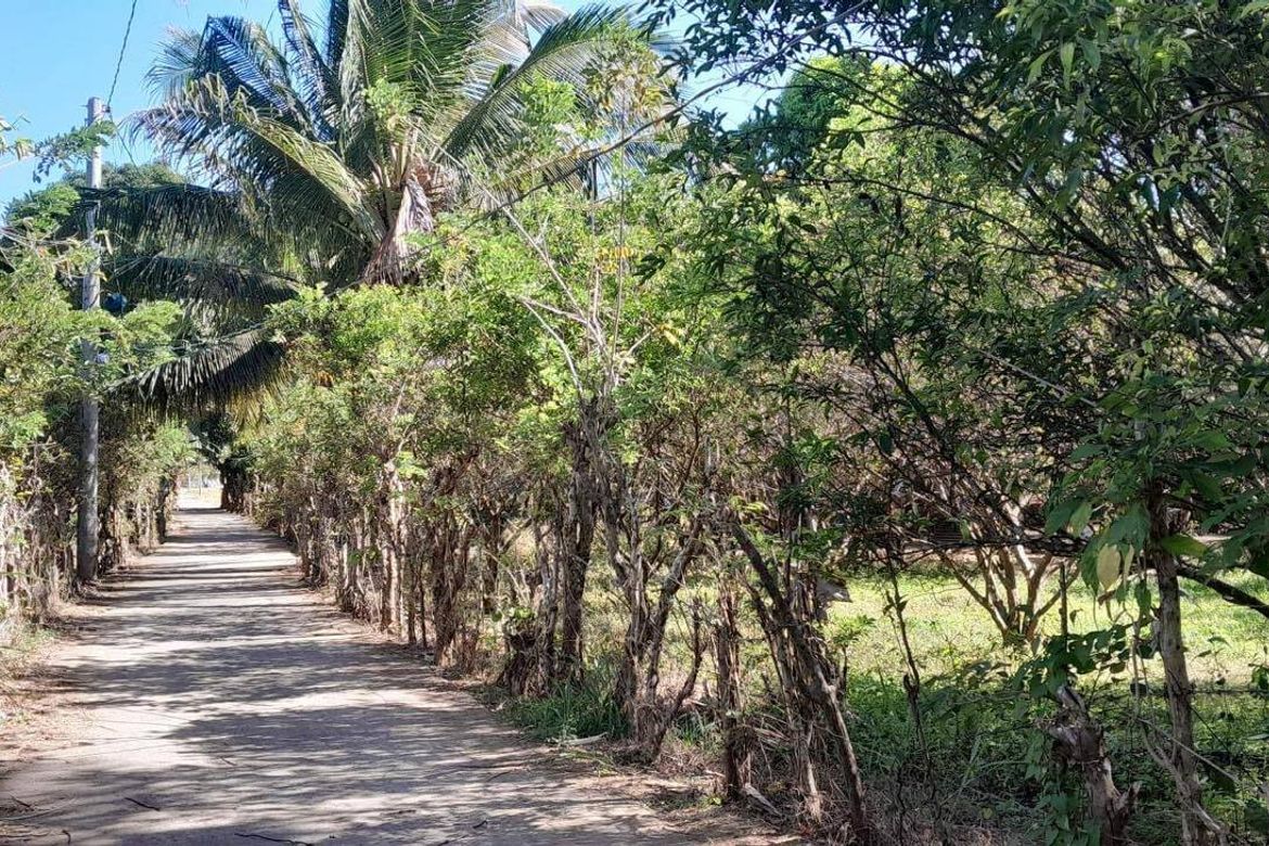 Land for Sale in San Antonio, Mabitac, Laguna – photo 8