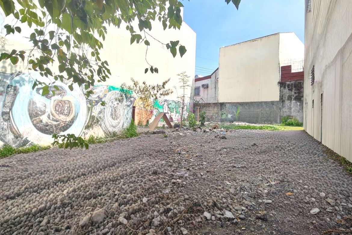Land for Sale in San Antonio, Parañaque, Metro Manila – photo 2
