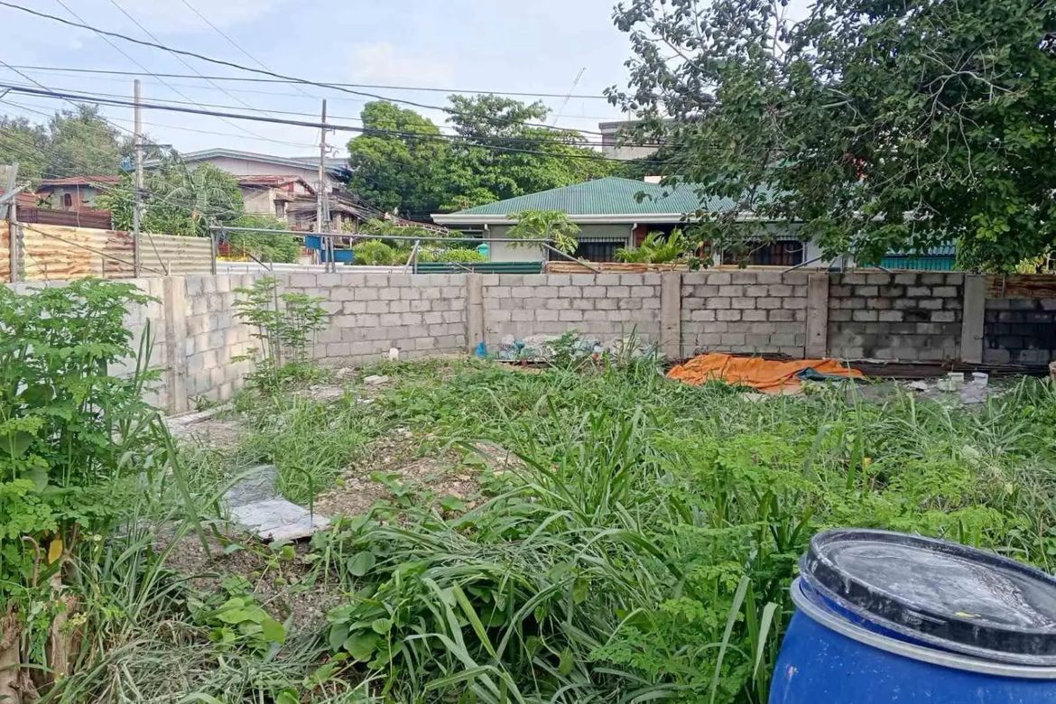 Land for Sale in San Antonio, Parañaque, Metro Manila – photo 3
