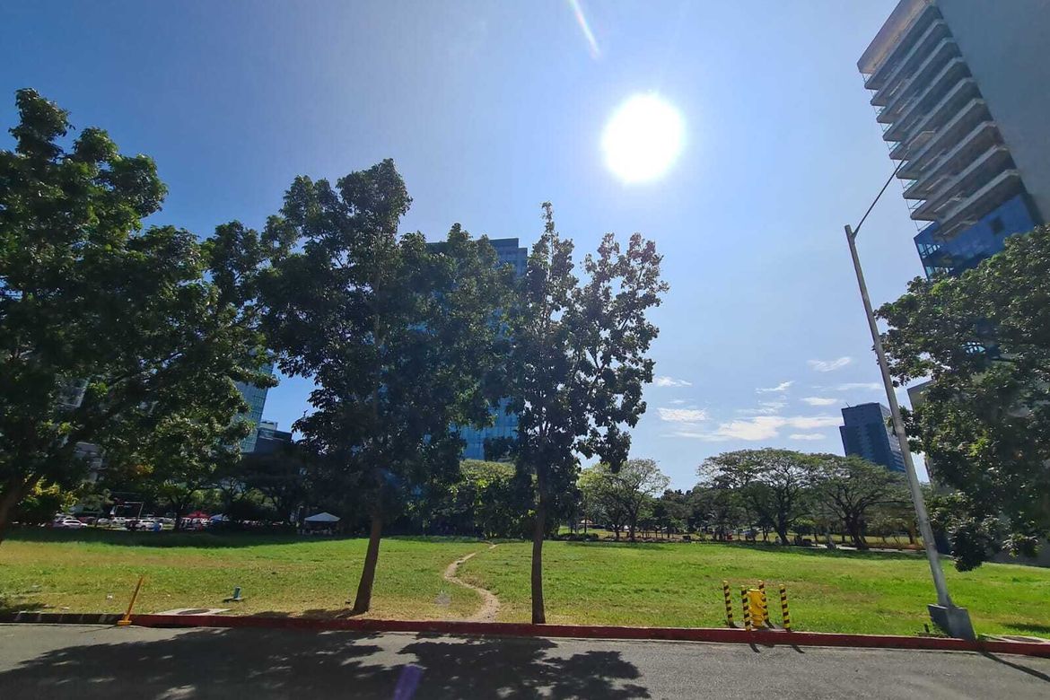 Land for Sale in San Antonio, Pasig, Metro Manila near MRT-3 Ortigas – photo 2