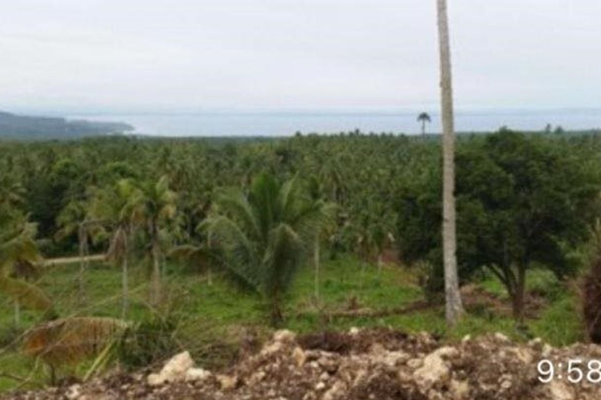 Land for Sale in San Antonio, Samal, Davao del Norte