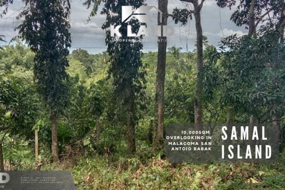 Land for Sale in San Antonio, Samal, Davao del Norte