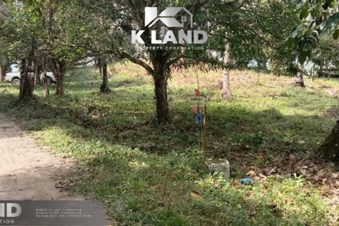 Land for Sale in San Antonio, Samal, Davao del Norte – photo 2