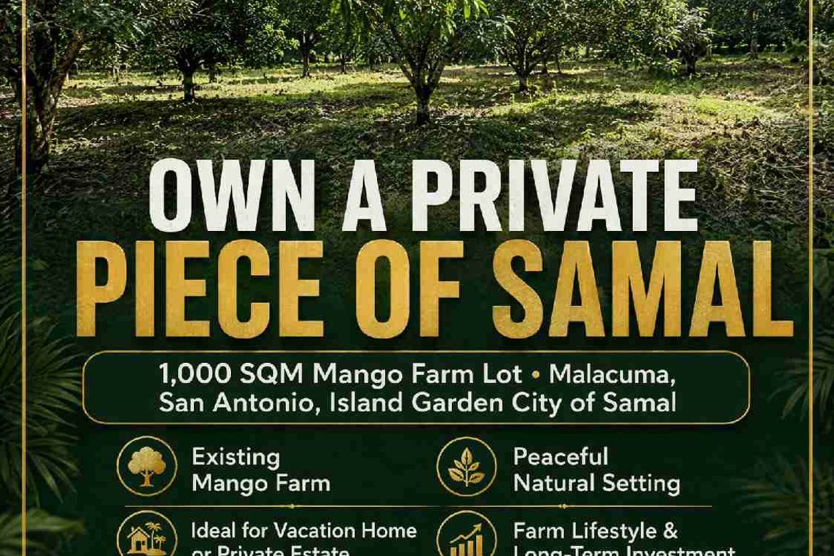 Land for Sale in San Antonio, Samal, Davao del Norte