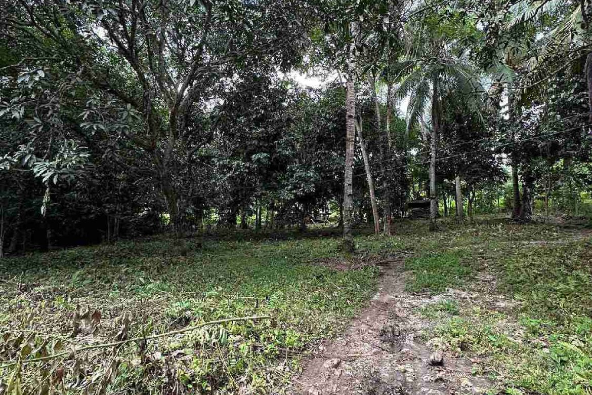 Land for Sale in San Antonio, Samal, Davao del Norte – photo 3