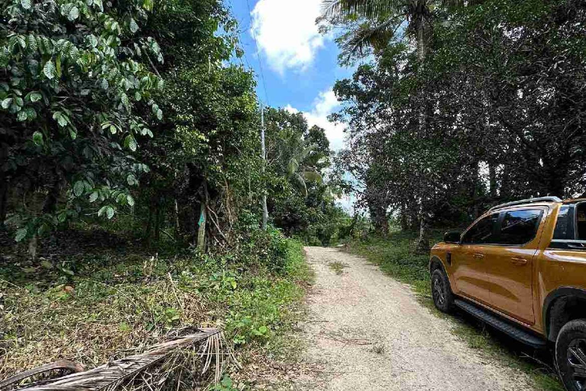 Land for Sale in San Antonio, Samal, Davao del Norte – photo 4