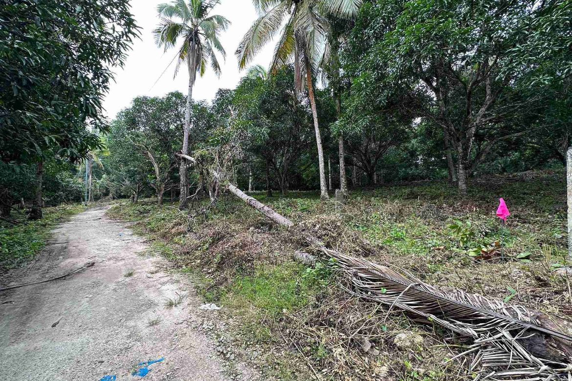 Land for Sale in San Antonio, Samal, Davao del Norte – photo 5