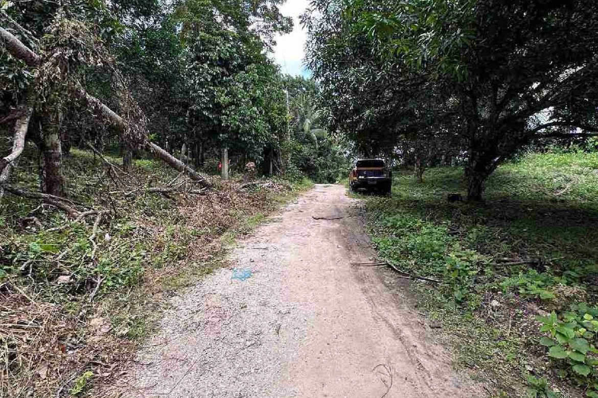 Land for Sale in San Antonio, Samal, Davao del Norte – photo 6