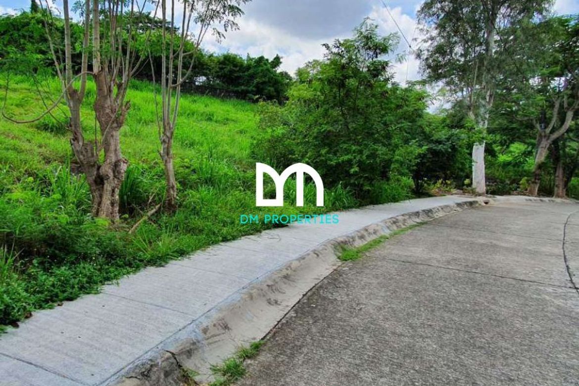 Land for Sale in San Antonio, San Pedro, Laguna – photo 3