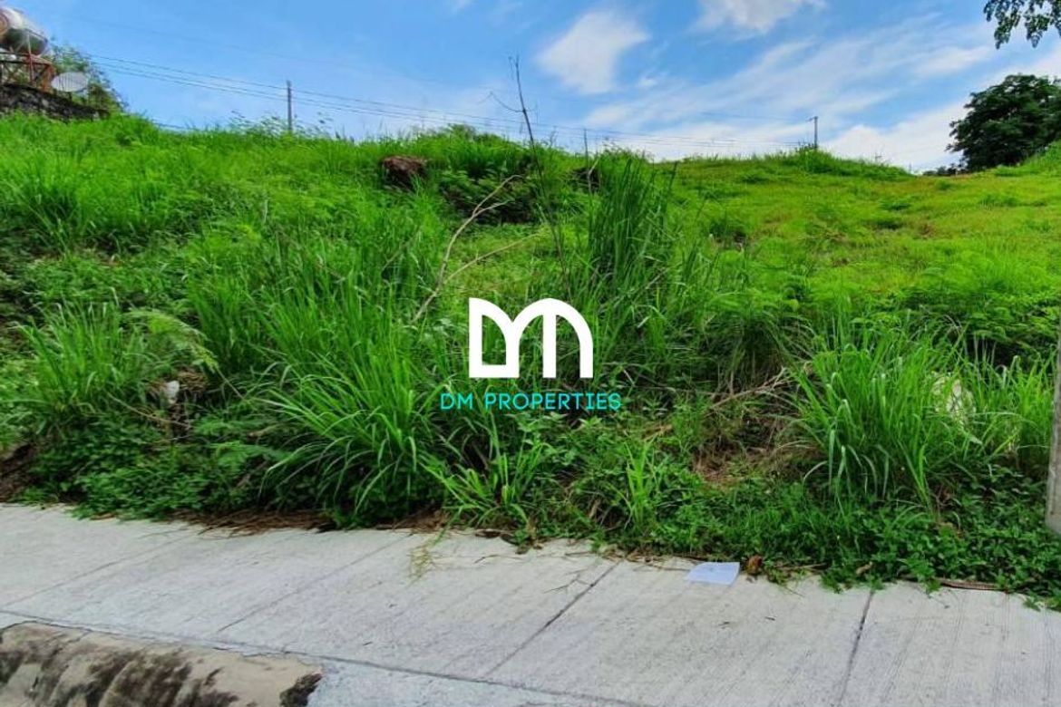 Land for Sale in San Antonio, San Pedro, Laguna – photo 4