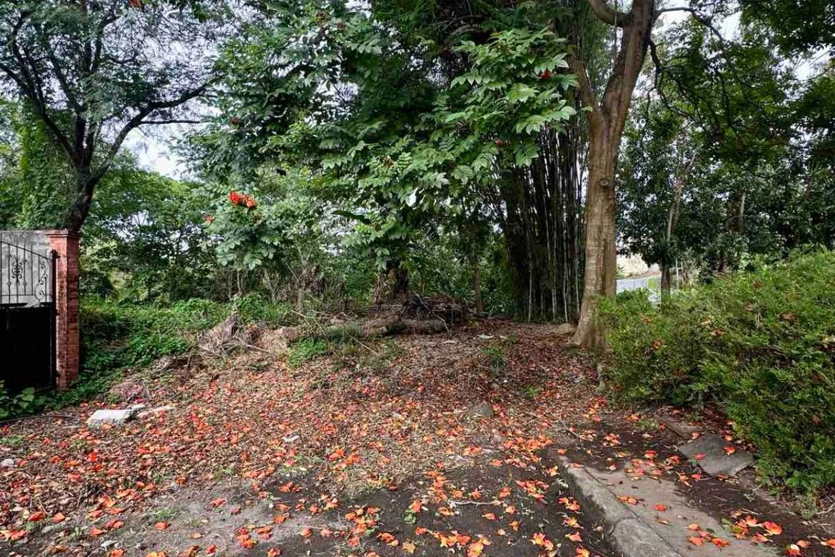 Land for Sale in San Antonio, San Pedro, Laguna
