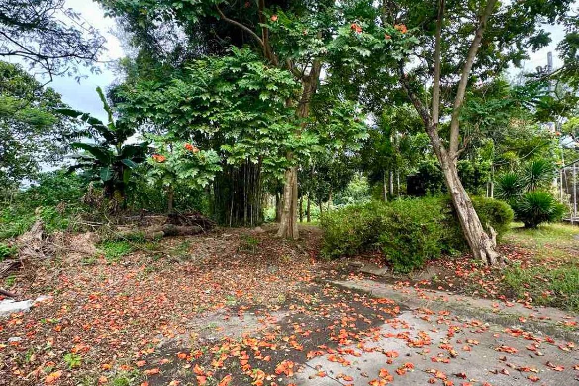 Land for Sale in San Antonio, San Pedro, Laguna – photo 4