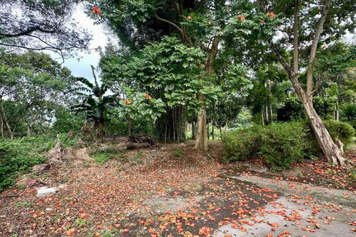 Land for Sale in San Antonio, San Pedro, Laguna – photo 5