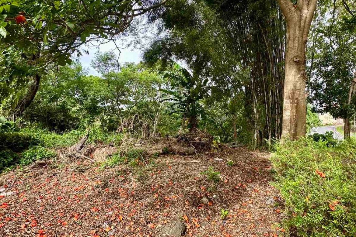 Land for Sale in San Antonio, San Pedro, Laguna – photo 6