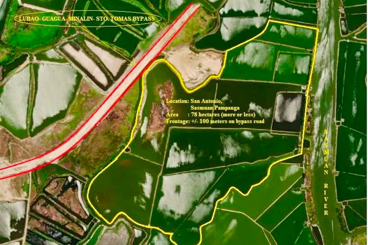 Land for Sale in San Antonio, Sasmuan, Pampanga – photo 3