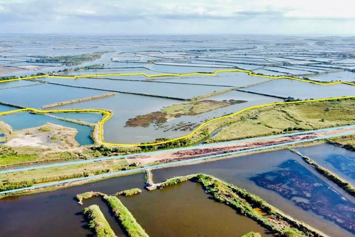 Land for Sale in San Antonio, Sasmuan, Pampanga – photo 6