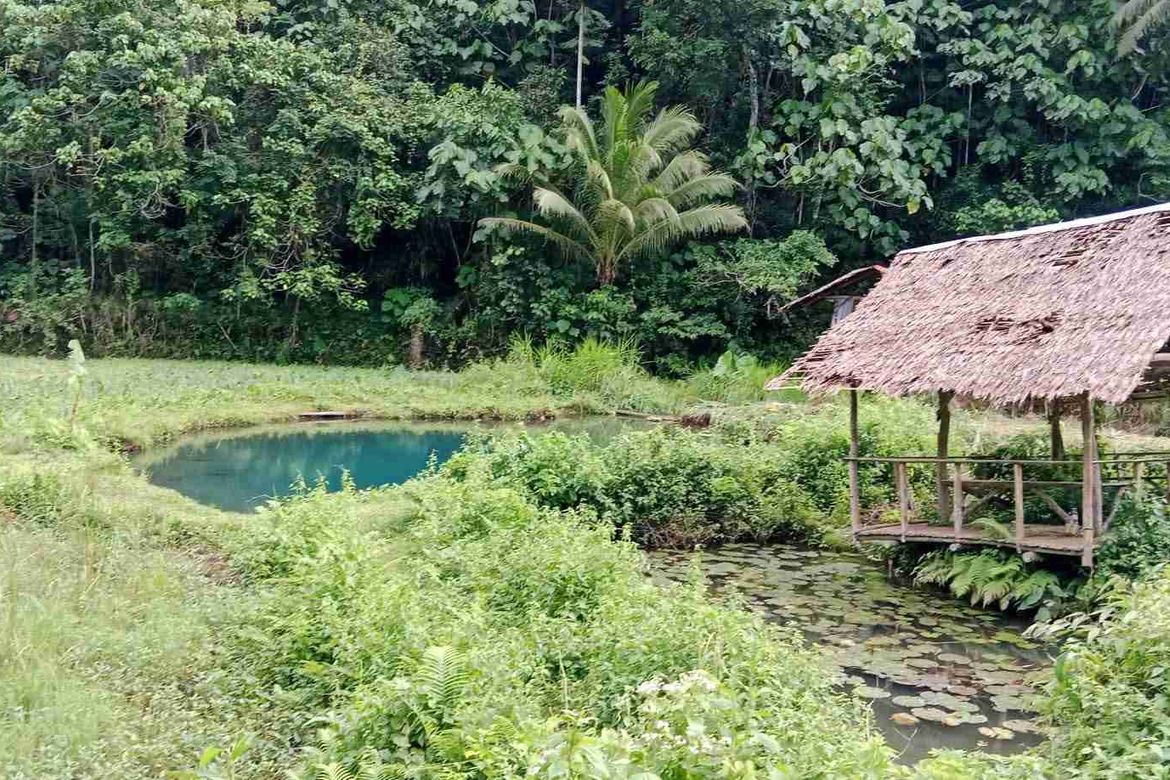Land for Sale in San Antonio, Siquijor, Siquijor – photo 4
