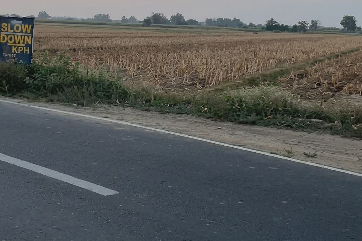 Land for Sale in San Bartolome, Concepcion, Tarlac – photo 2