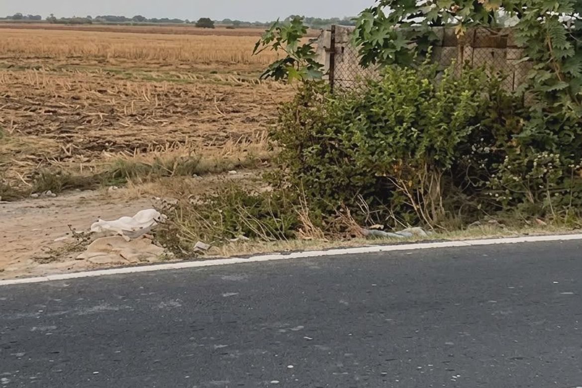 Land for Sale in San Bartolome, Concepcion, Tarlac – photo 3