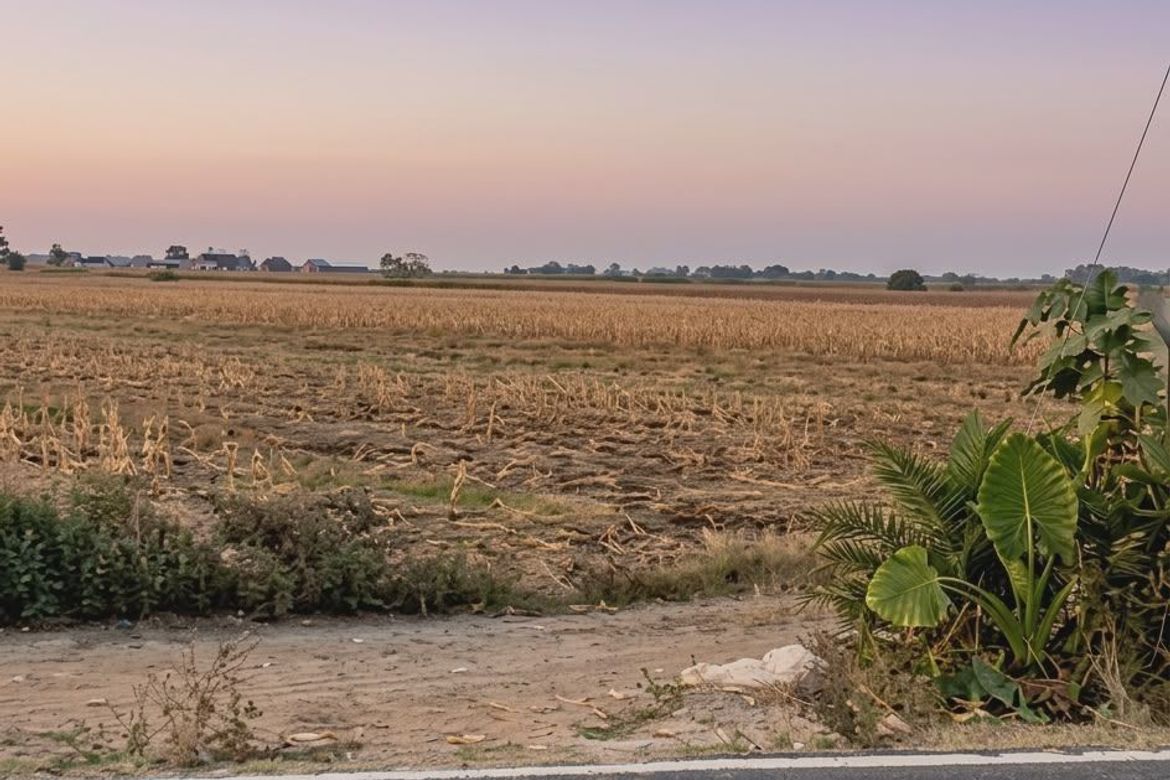 Land for Sale in San Bartolome, Concepcion, Tarlac – photo 4