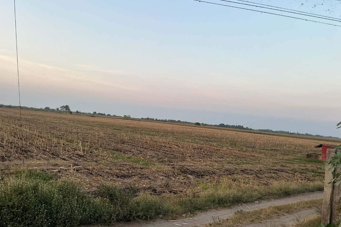 Land for Sale in San Bartolome, Concepcion, Tarlac – photo 5