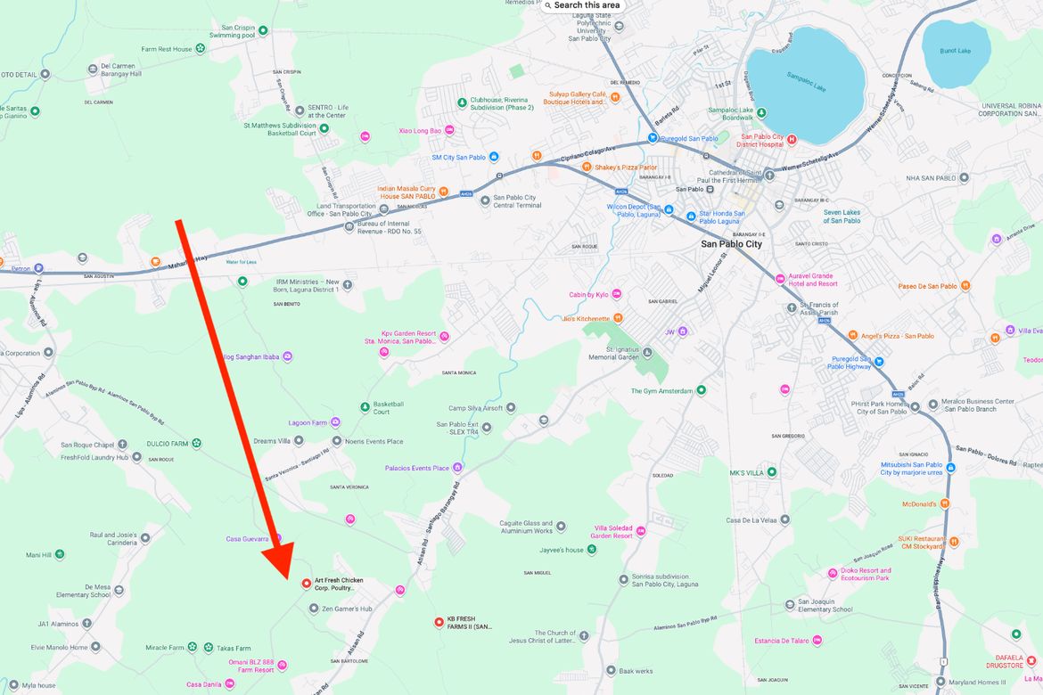 Land for Sale in San Bartolome, San Pablo, Laguna – photo 3