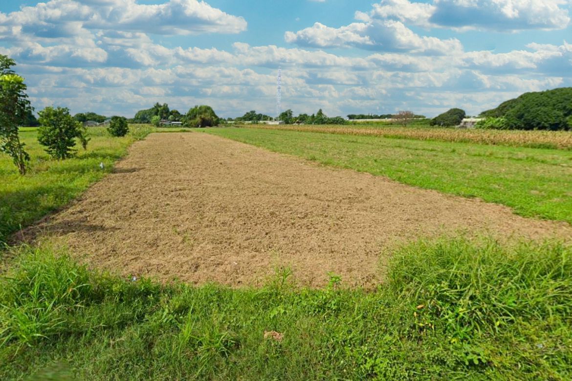 Land for Sale in San Blas, Villasis, Pangasinan – photo 3