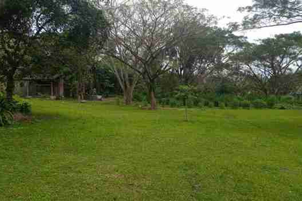 Land for Sale in San Carlos, Lipa, Batangas – photo 4