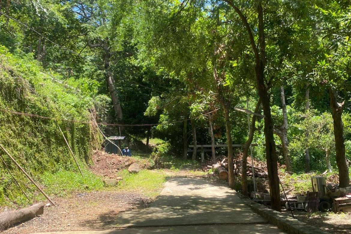 Land for Sale in San Diego, Lian, Batangas – photo 8