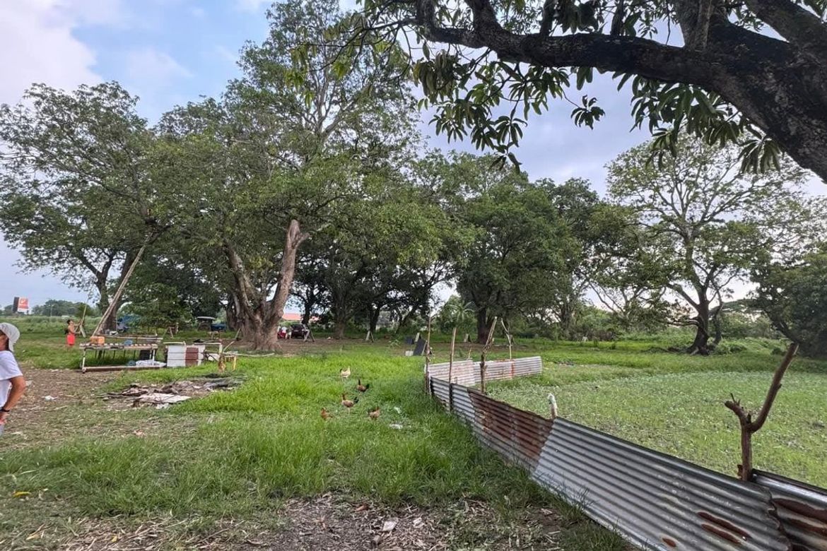 Land for Sale in San Felipe, San Fernando, Pampanga – photo 3