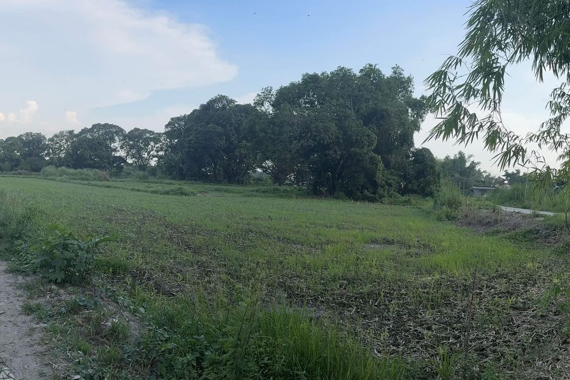 Land for Sale in San Felipe, San Fernando, Pampanga – photo 4