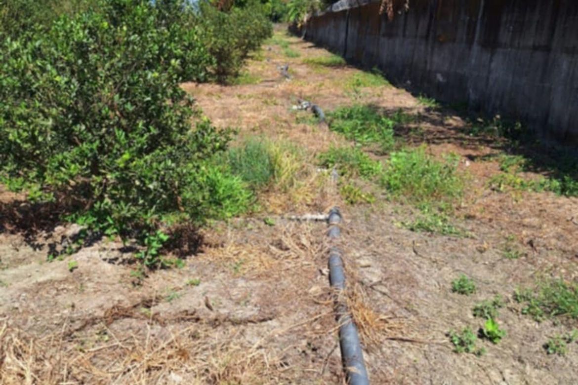 Land for Sale in San Felipe, San Manuel, Tarlac – photo 2
