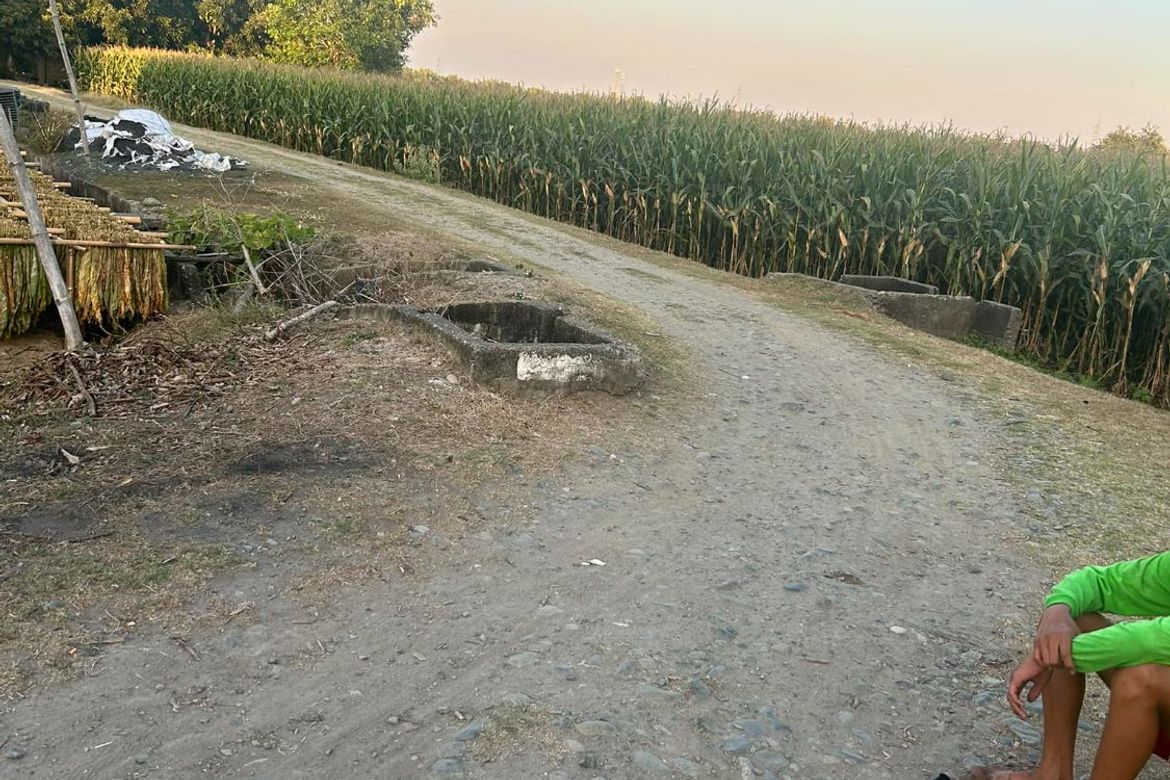 Land for Sale in San Felipe, San Manuel, Tarlac – photo 5