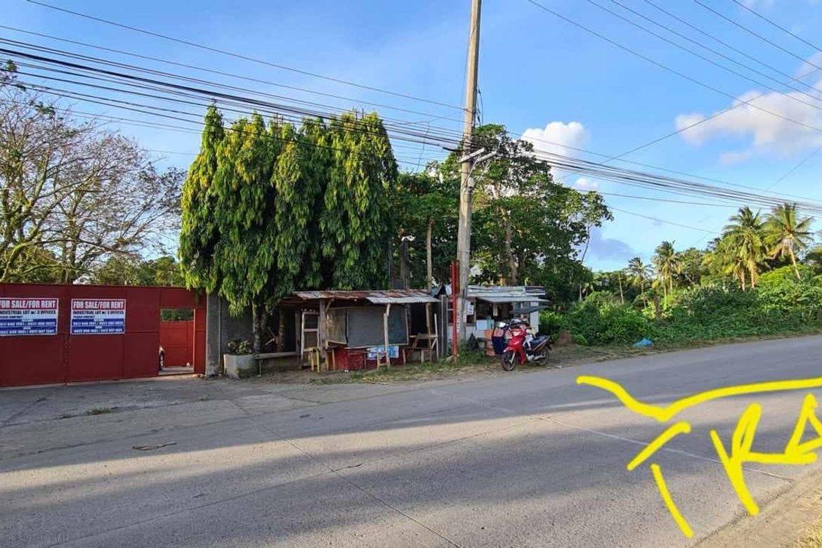 Land for Sale in San Felix, Santo Tomas, Batangas – photo 4