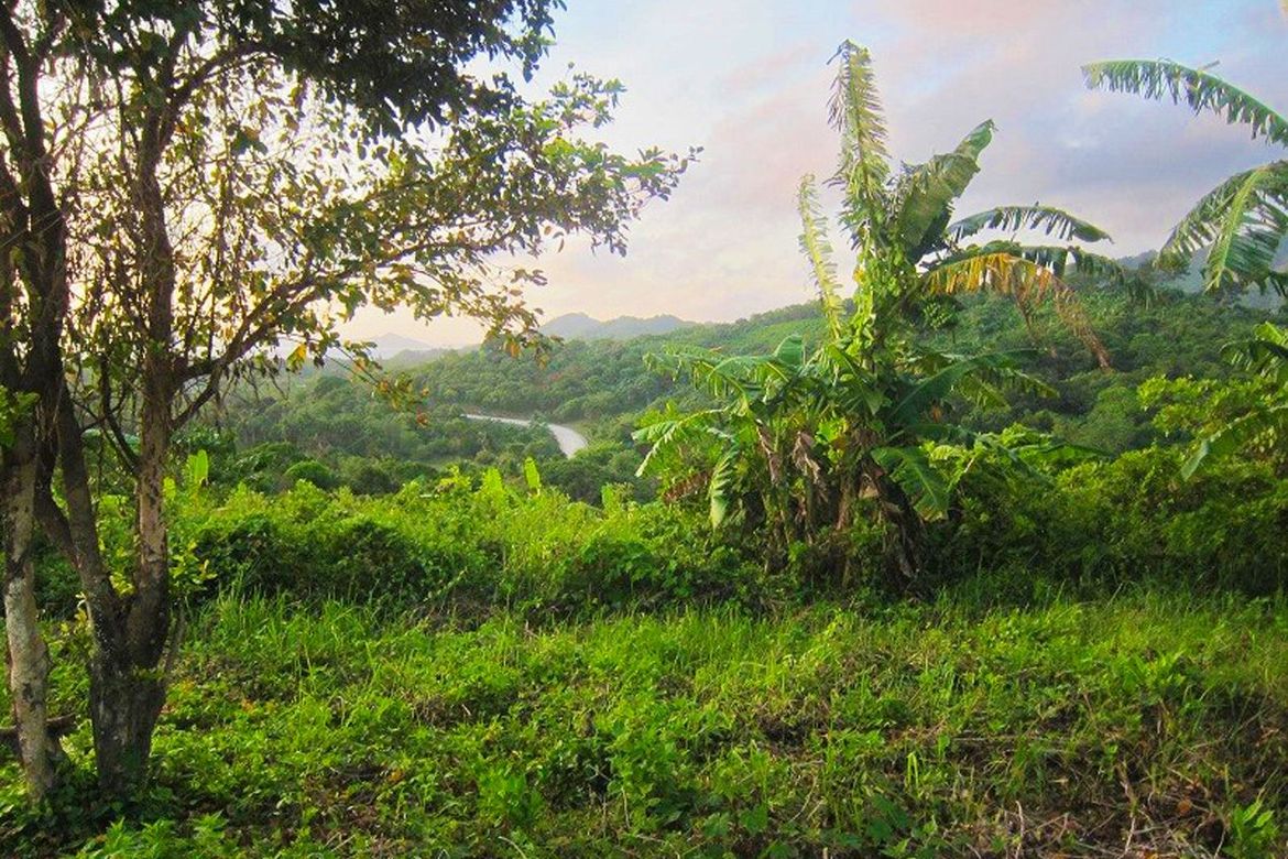 Land for Sale in San Fernando, El Nido, Palawan – photo 2