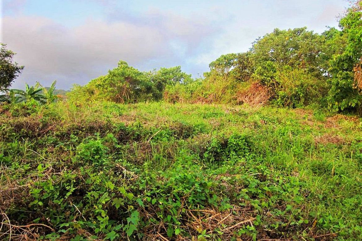 Land for Sale in San Fernando, El Nido, Palawan – photo 3
