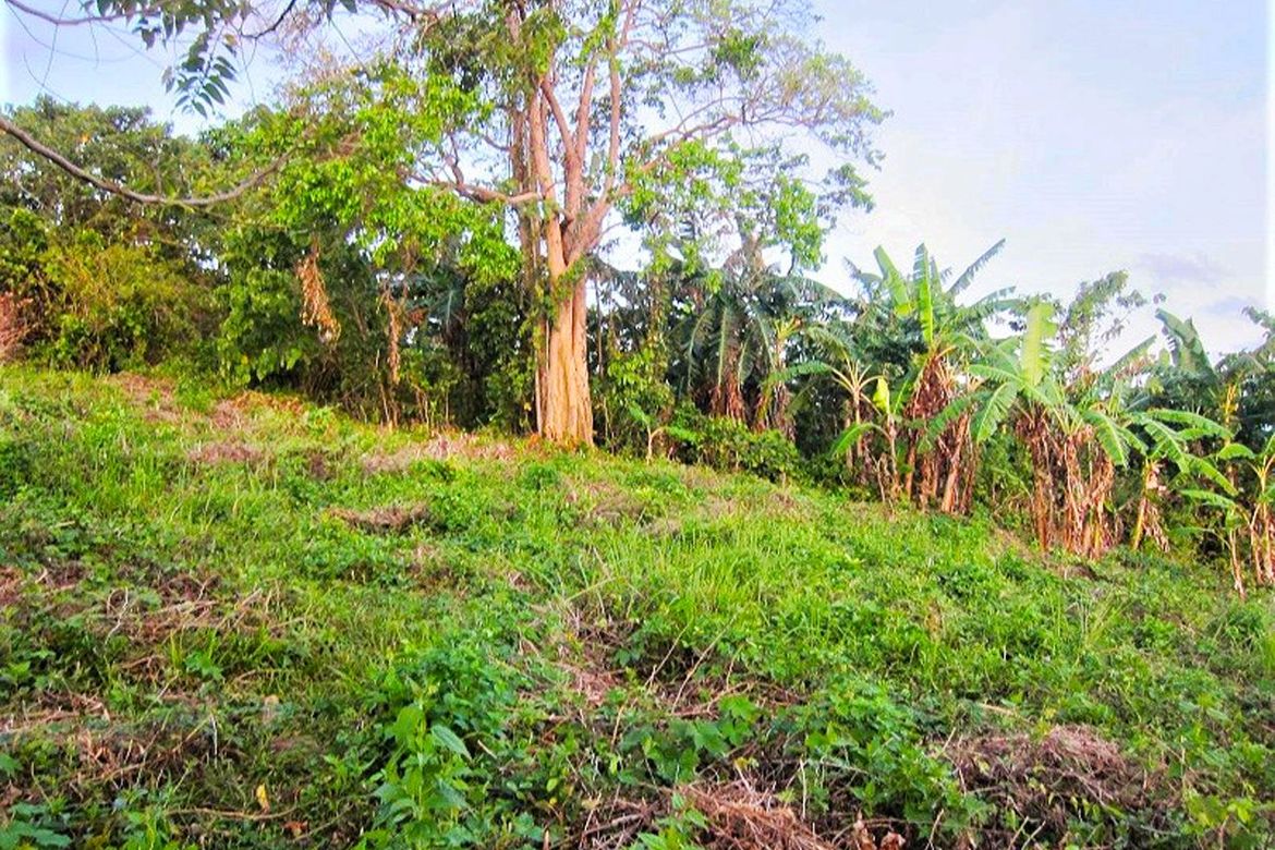Land for Sale in San Fernando, El Nido, Palawan – photo 5
