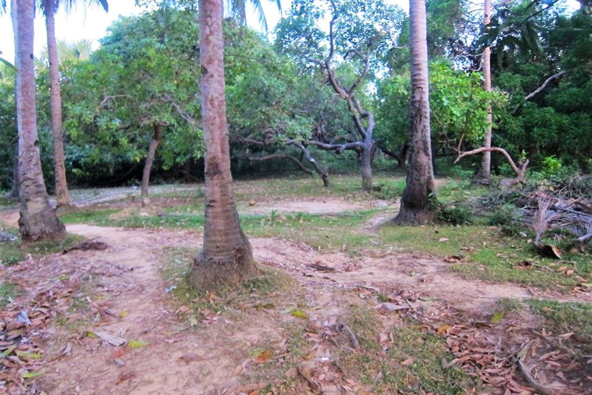 Land for Sale in San Fernando, El Nido, Palawan – photo 6
