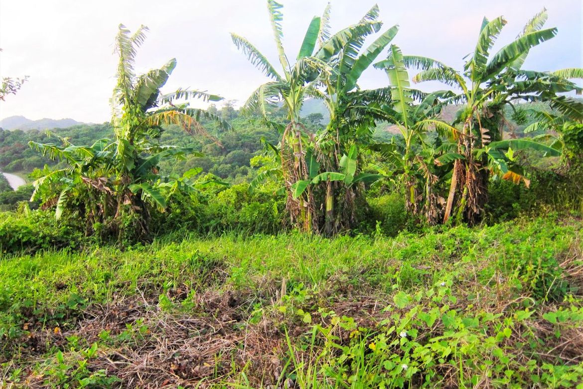 Land for Sale in San Fernando, El Nido, Palawan – photo 7