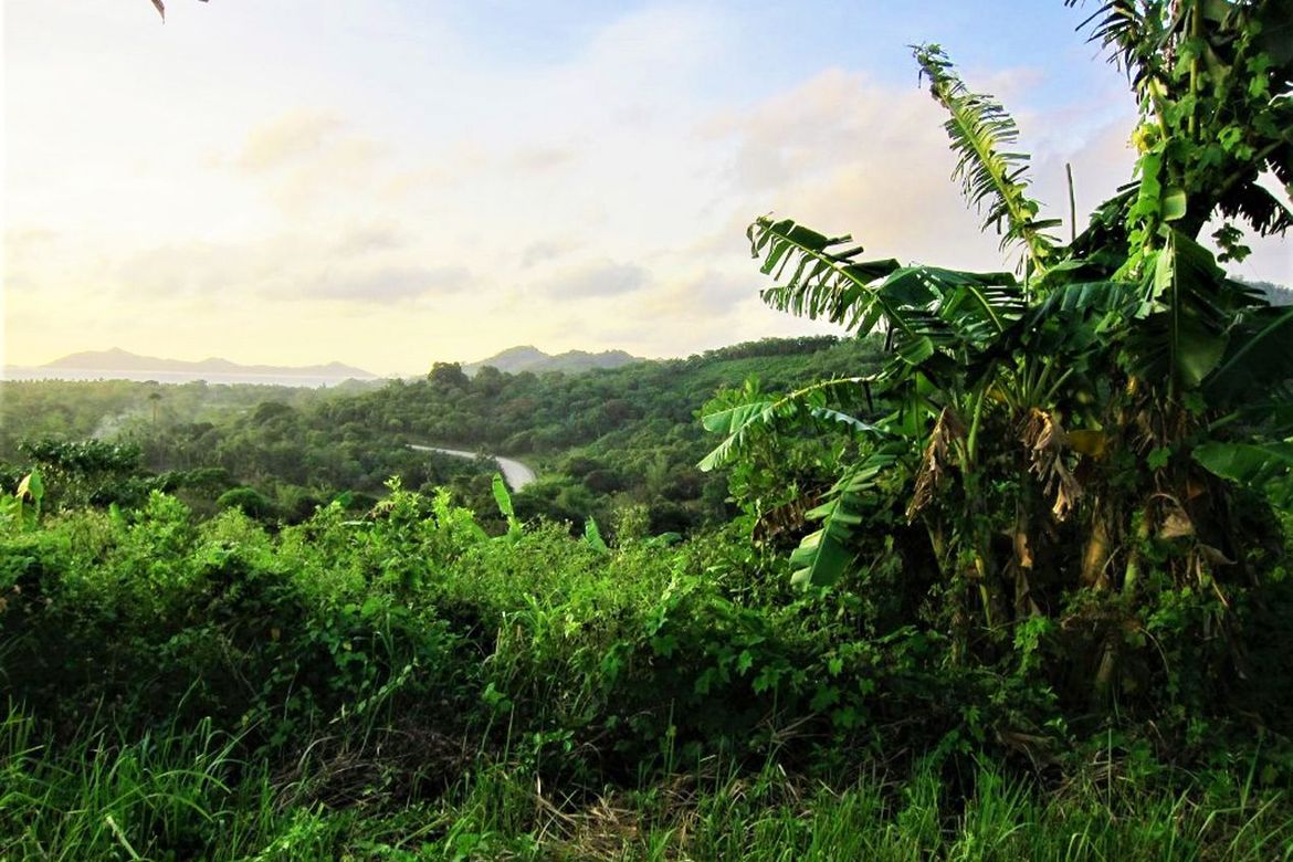 Land for Sale in San Fernando, El Nido, Palawan – photo 8