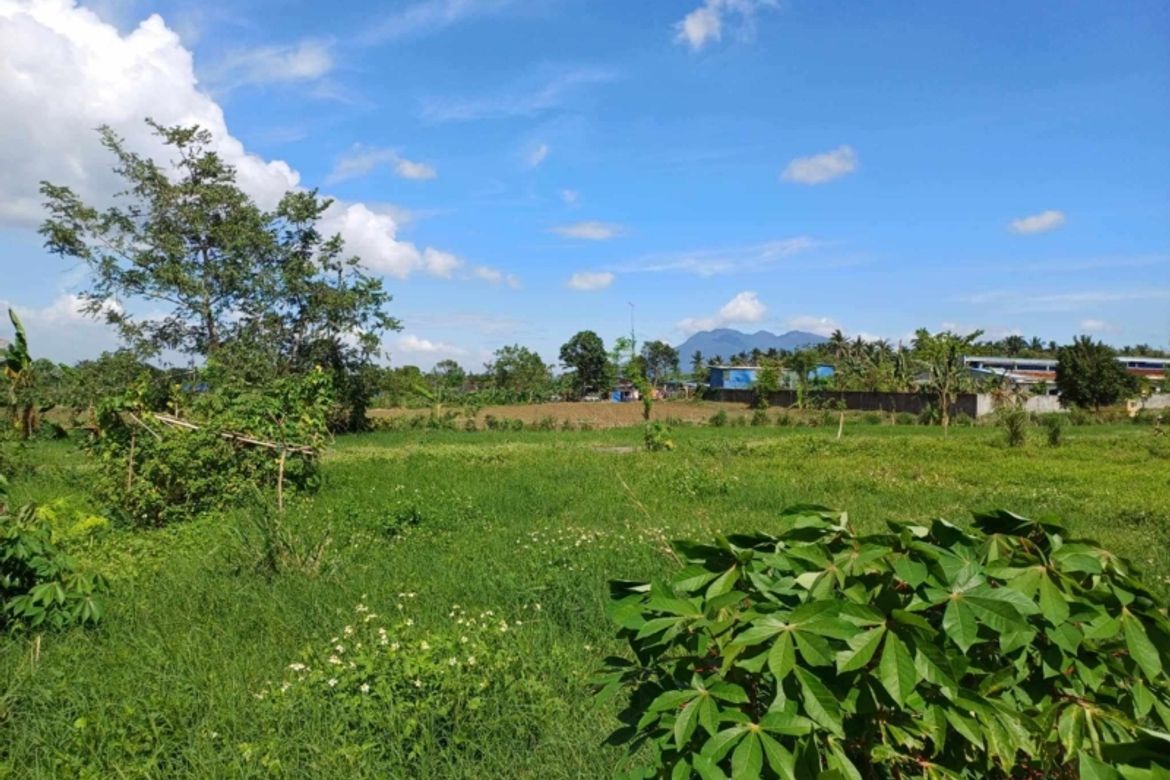 Land for Sale in San Fernando, Malvar, Batangas