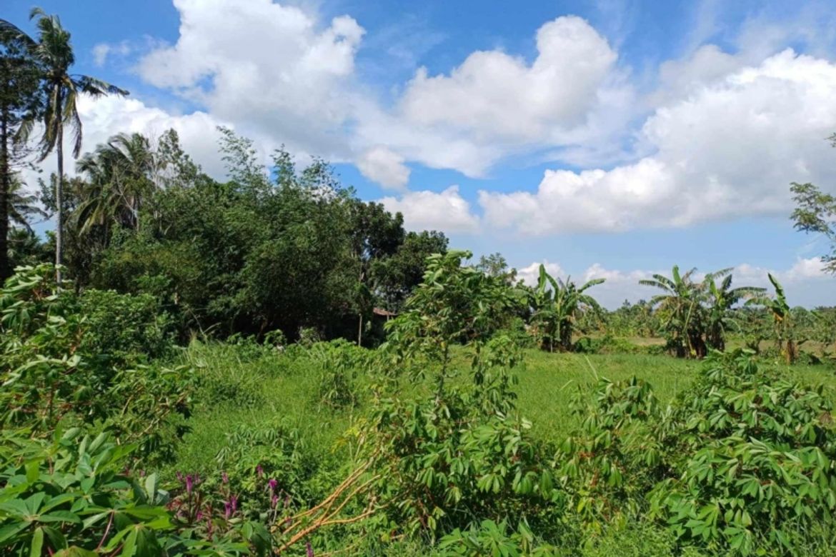 Land for Sale in San Fernando, Malvar, Batangas – photo 2